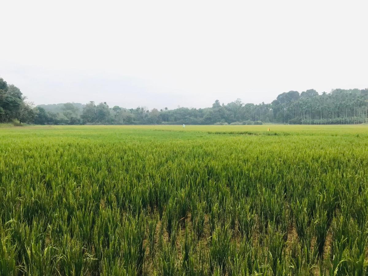 Partho Home Stay Padinjarathara Buitenkant foto