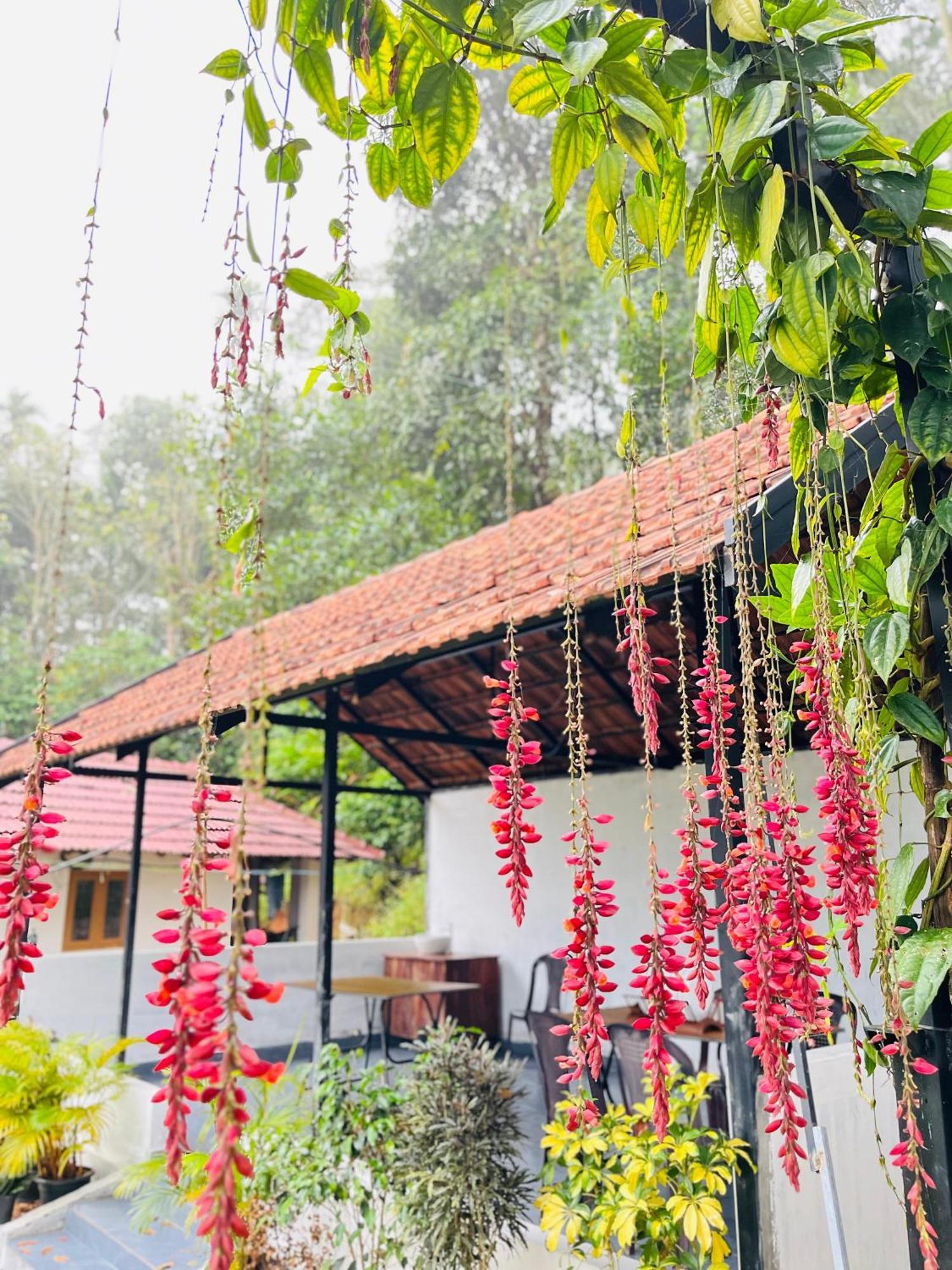 Partho Home Stay Padinjarathara Buitenkant foto